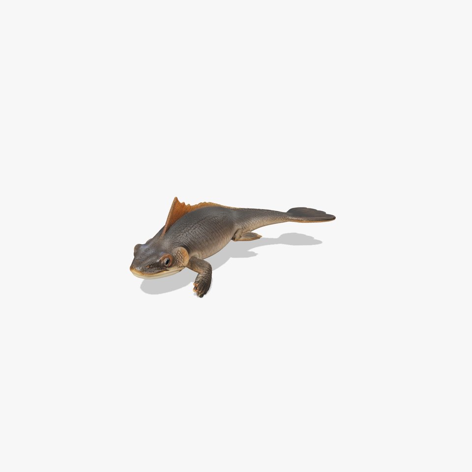Prehistoric Lizard Model Pack with Textured Skin